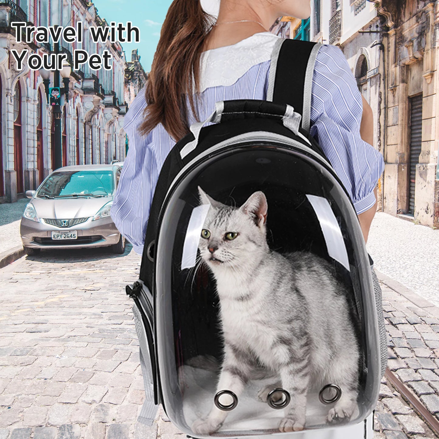 Premium Cat Backpack Carriers Bubble, Clear Pet Carrier Backpack Bag for Cat Puppy Small Dogs