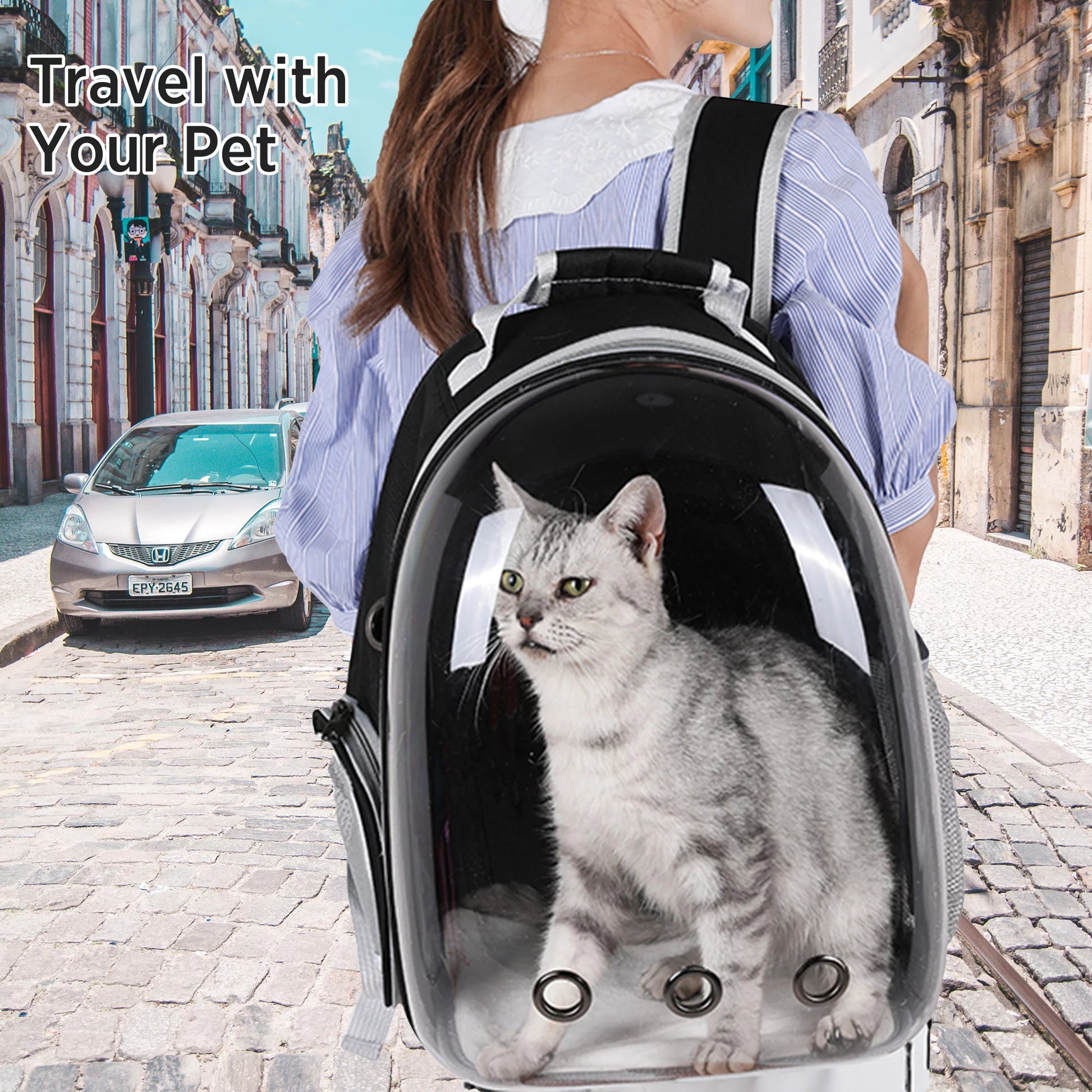 Premium Cat Backpack Carriers Bubble, Clear Pet Carrier Backpack Bag for Cat Puppy Small Dogs