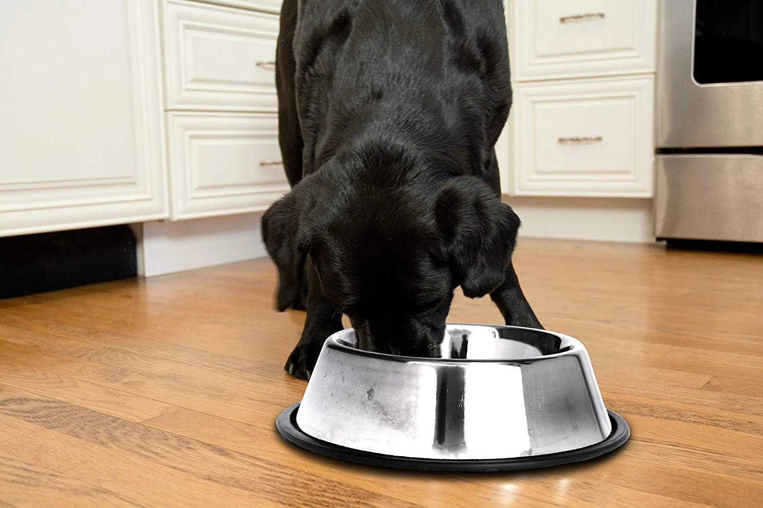 2-Pack Stainless Steel Non-Skid Pet Bowl for Dog or Cat, 64 Oz, 8 Cup