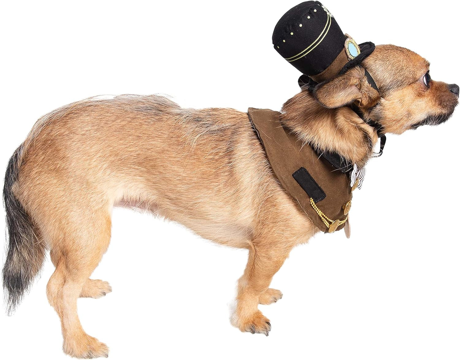 Steampunk Small Dog & Cat Costume Hat and Collar Set - Perfect for Halloween, Christmas Holiday, Parties, Photoshoots, Gifts for Dog & Cat Lovers