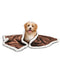 Pet Dog Sherpa Blanket Plush Soft Snuggle Puppy Kitten Blanket Throw for Sleep Mat Couch Sofa Doggy Bed Brown/Lat