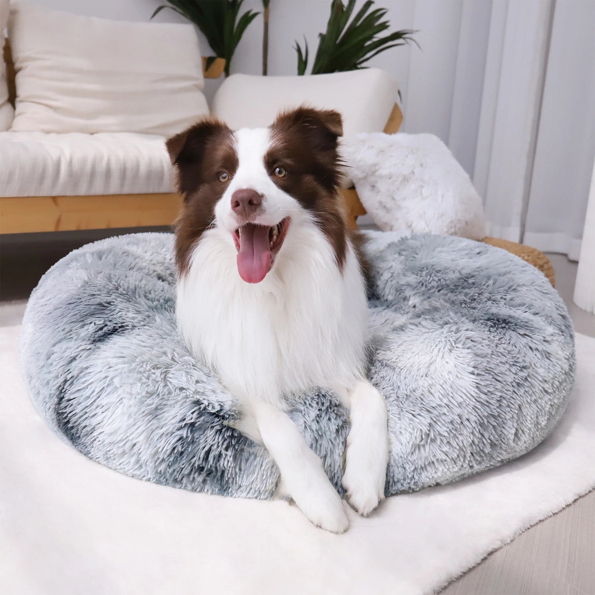 Calming Donut Dog Bed for Small Medium and Large Dogs, Anti-Anxiety Plush Cozy Warming Pet Bed (20"X20",Gradient Grey)